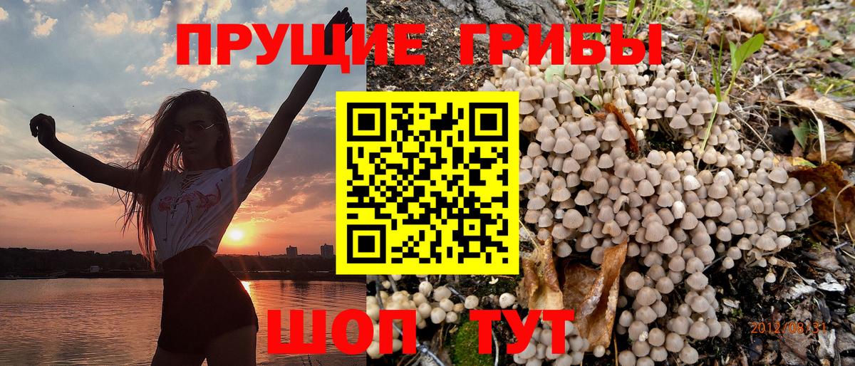Псилоцибиновые грибы прущие грибы Белореченск